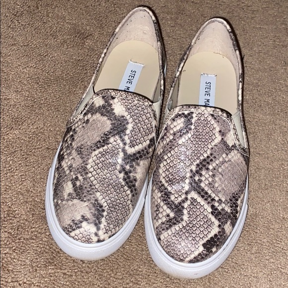 Steve Madden Shoes - Snakeskin Steve Madden shoes